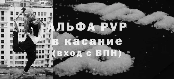 СК Инта
