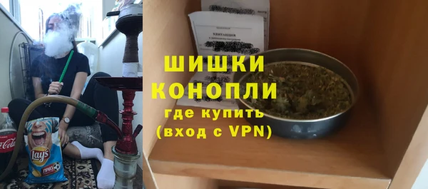 СК Инта