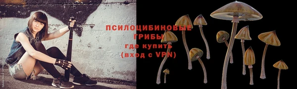 мяу мяу мука Инсар