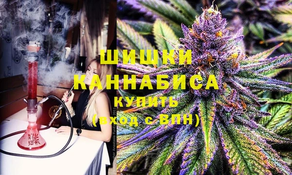 мяу мяу мука Инсар