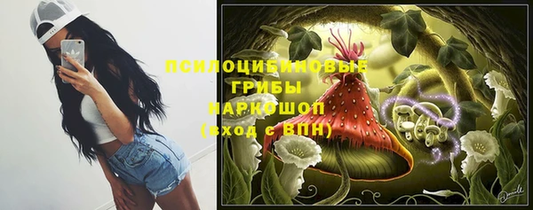 СК Инта