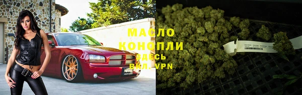 мяу мяу мука Инсар