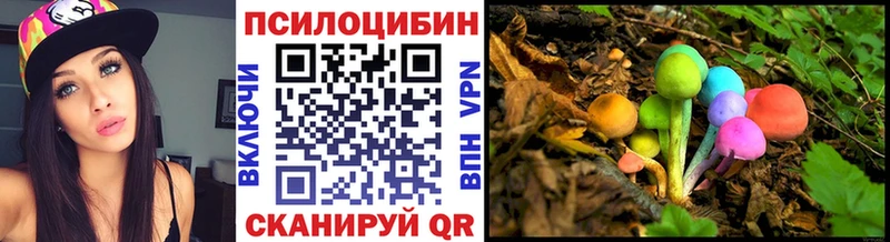 Галлюциногенные грибы Psilocybine cubensis Любань