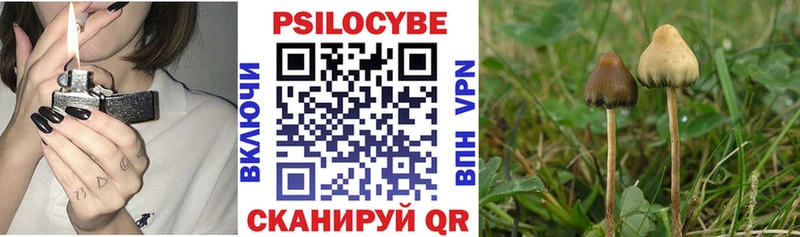 Псилоцибиновые грибы ЛСД  Купить  Любань 